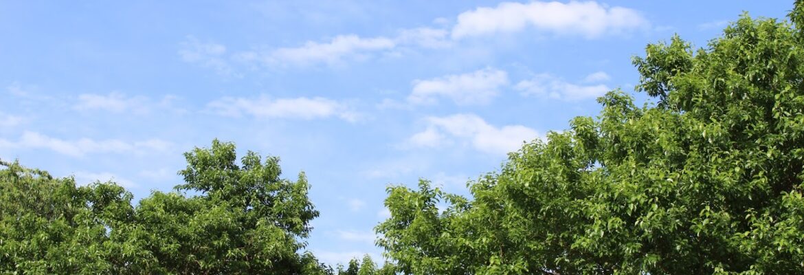 Deep Blue Skies Photography