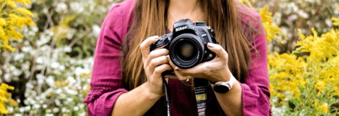 Ellingboe Design & Photography