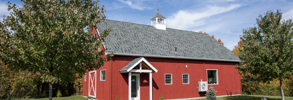 Diane Diederich Photography