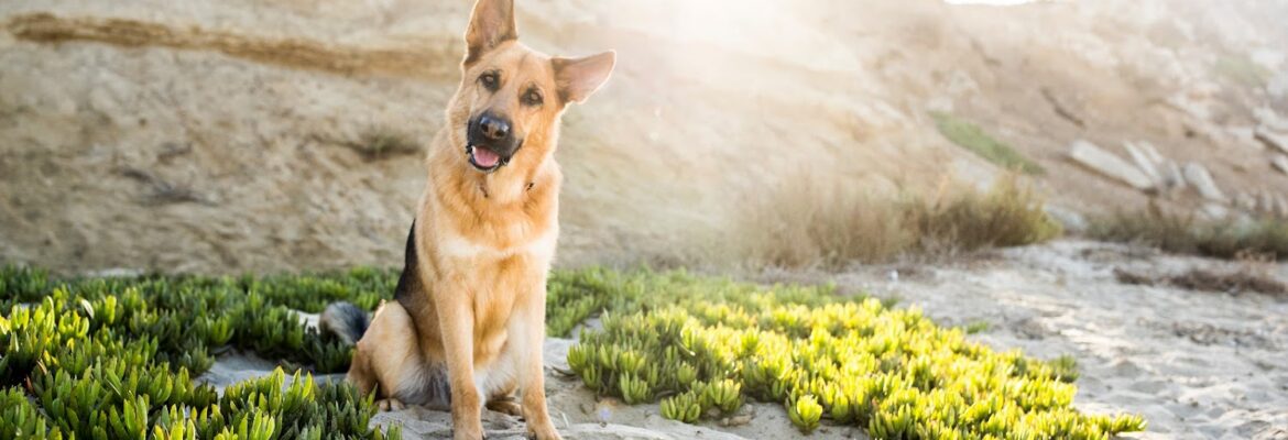 Sarah McGraw Photography