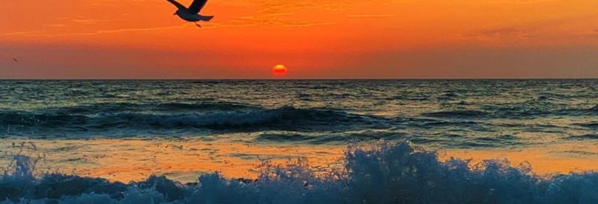 Katrina Kearns Productions