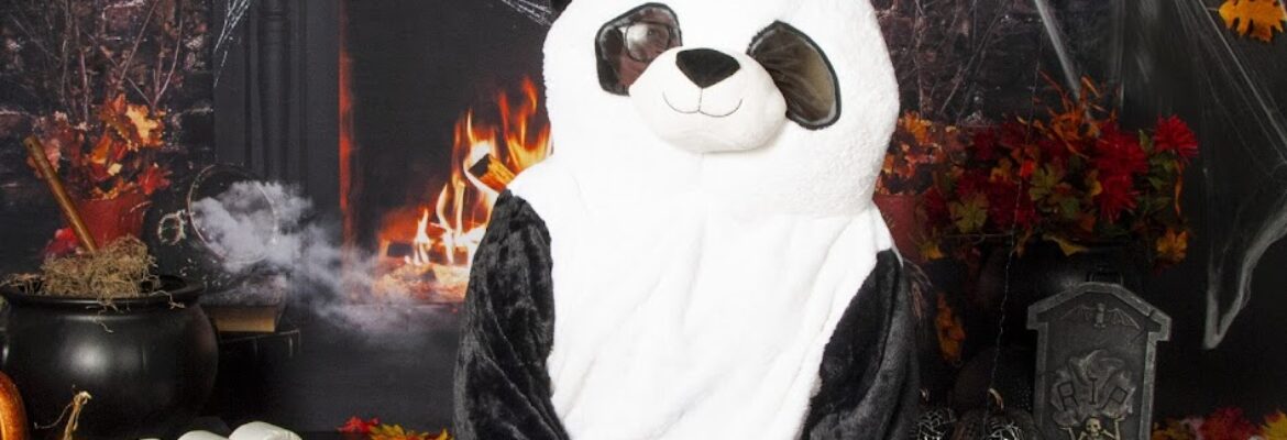 ShyVel’s Photography