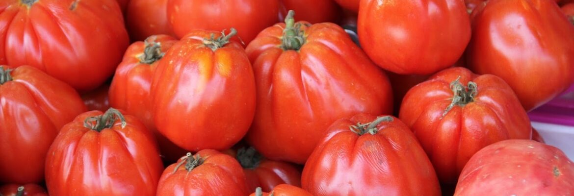 Art Imagined Photography