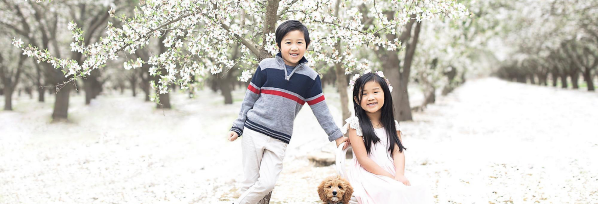 Walls of Wonders Photography