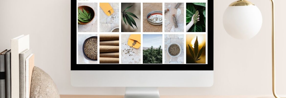 A Pot Farmer’s Daughter – Cannabis Photography