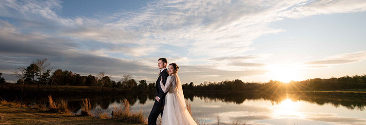 Life Reflecting Images