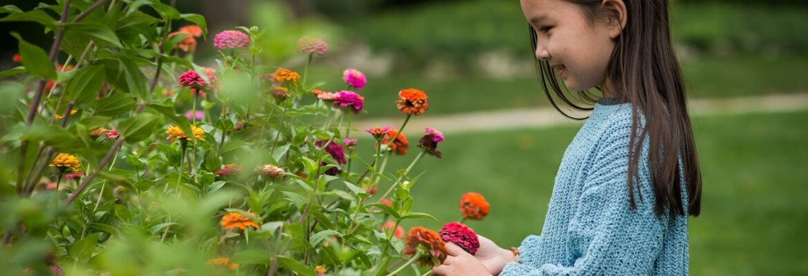 Allison Carenza Photography LLC