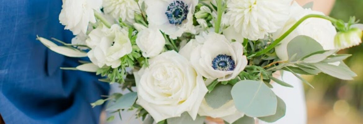 Taylor Marie Photography