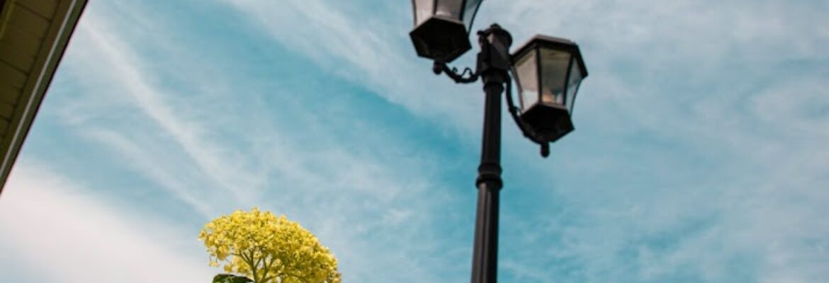 MV Photography LLC.
