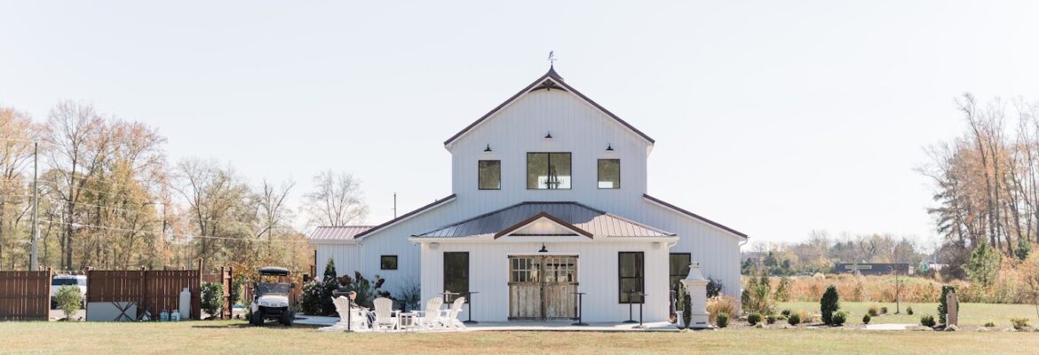Alex and Suzanne Photography and Videography
