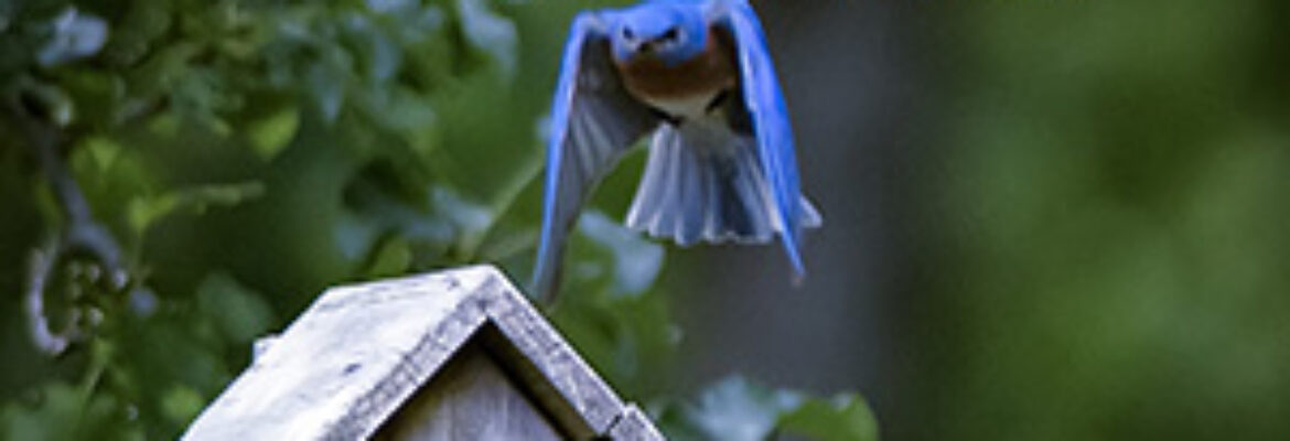 Andrew Brooks Photography, LLC