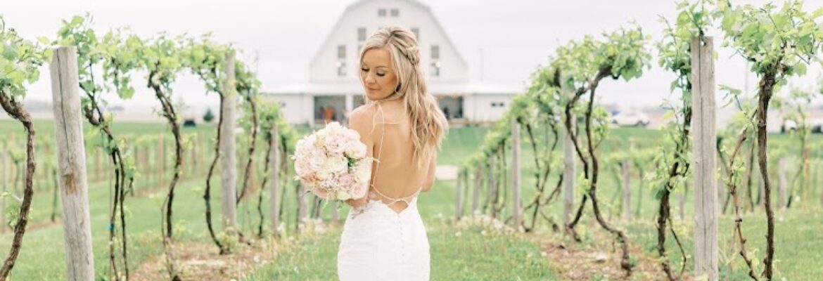 Lindsey Taylor Photography
