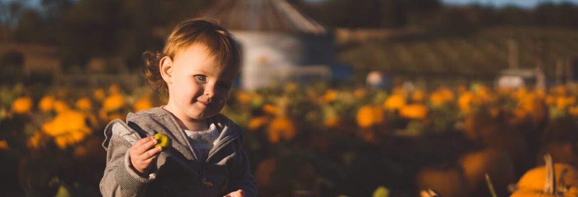 Joey Cammerota Photography