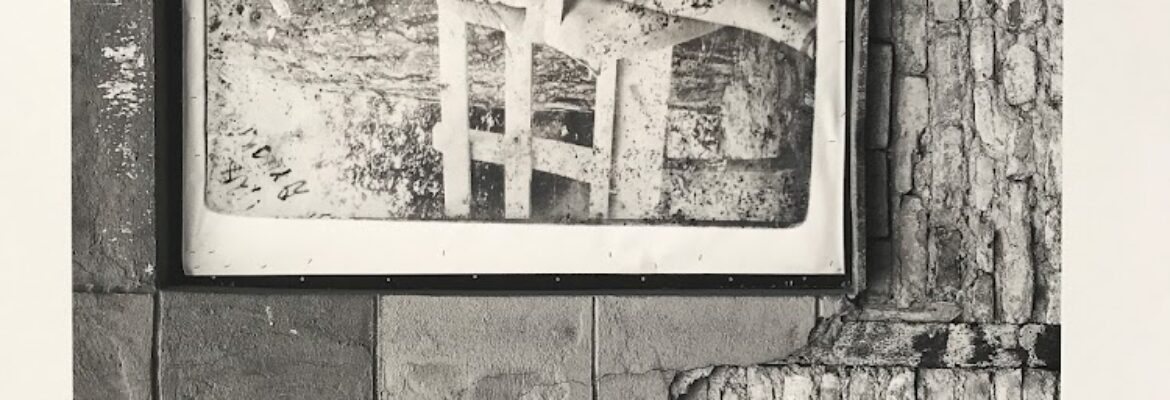 LaureDunnePhotography