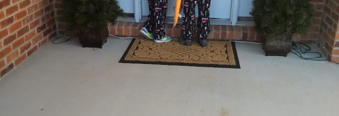 Blue Daisy Art | Springfield IL Phototgraphy