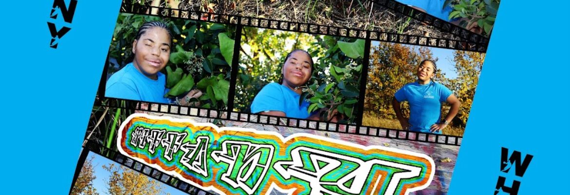 Con Sue Photography & Design