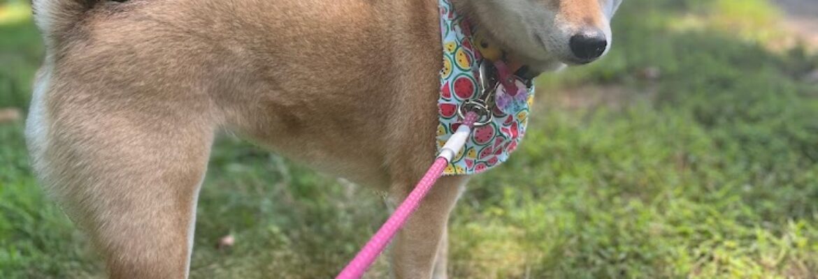 Catherine Rae Photography