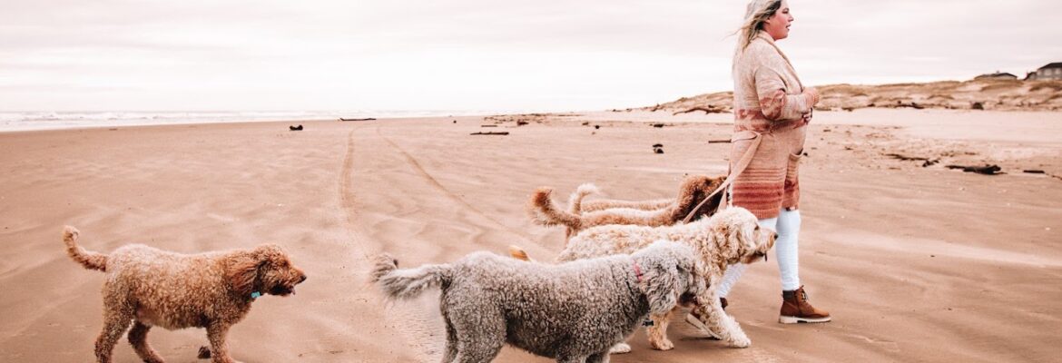 Kayla Cooley Photography