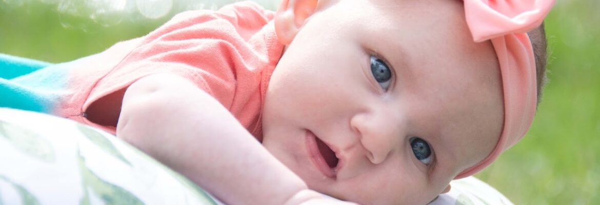 Berkshire Visions: Photography by Barbara Schmick