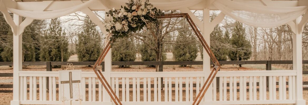 Tiffany Holmes Photography