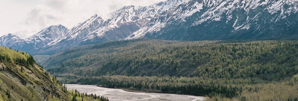 Ian Dale Photography