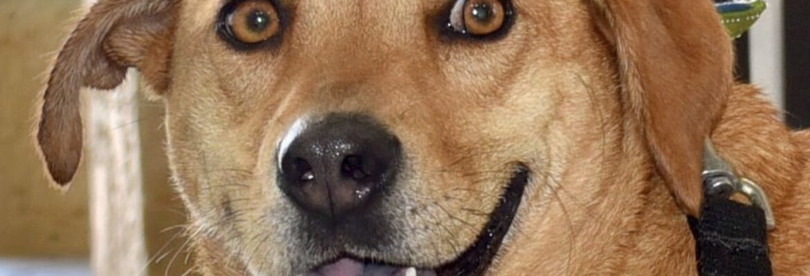 Connie C’s Photography