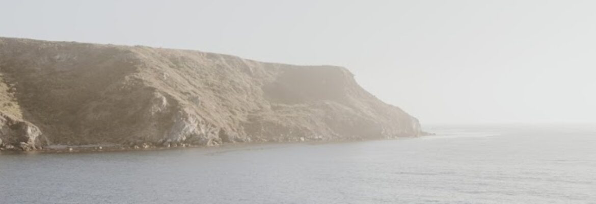 Alissa Rose Photography