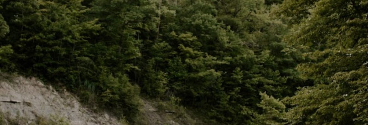 Jessica Jolene Photography