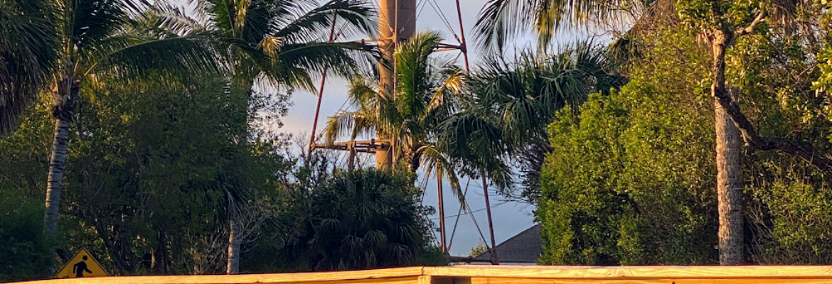 Nick Adams Photography