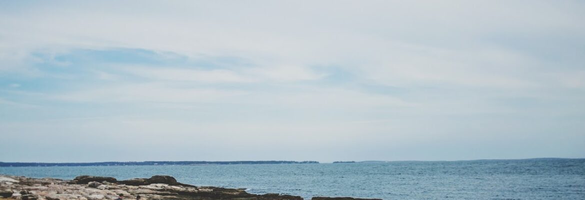 Malorrie Ann Photography