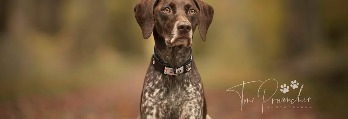 Point and Shoot Photography