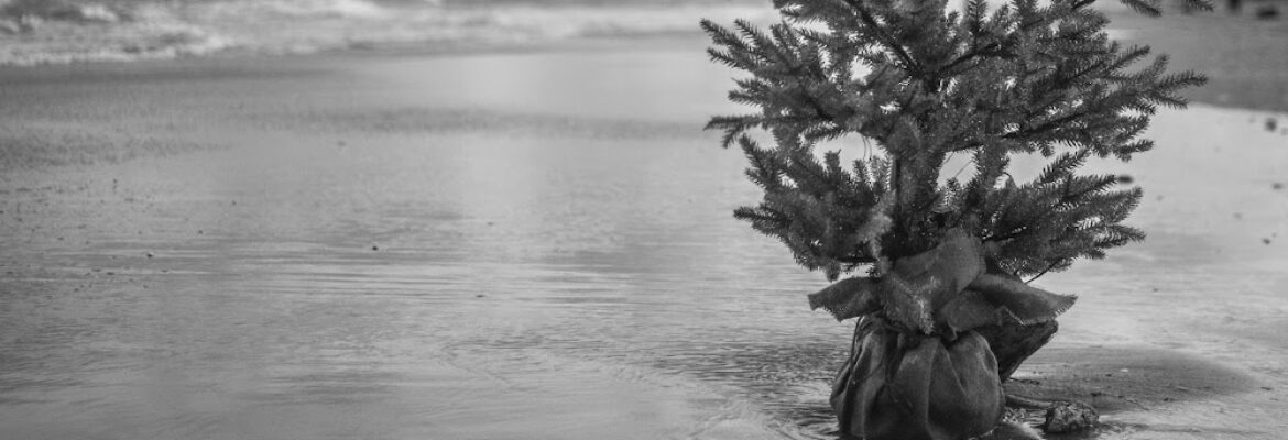 Mehana Hu Photography