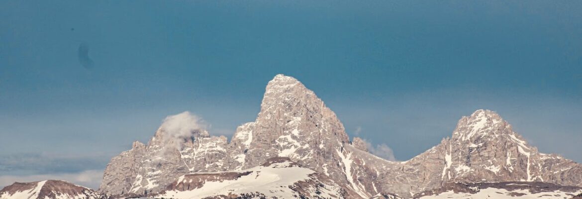 SerenityOtter Creations