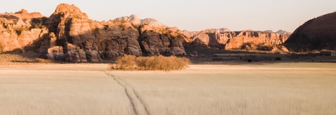 The Hearnes Elopement Photography