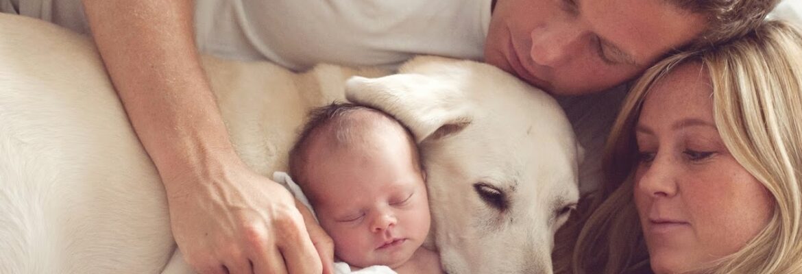 Emily Lucarz Photography