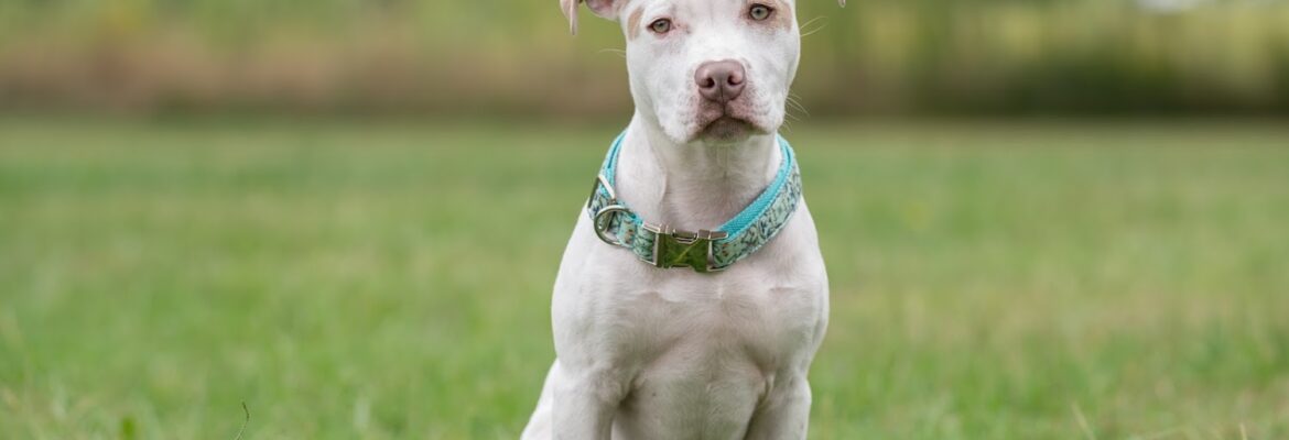 Bakin’ Jakes Photography