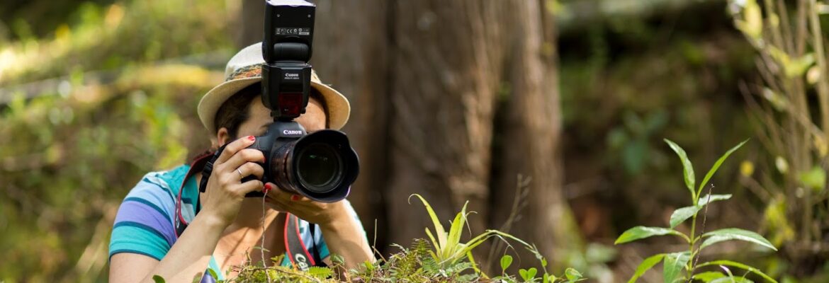 Aj Sirias Photographer Services