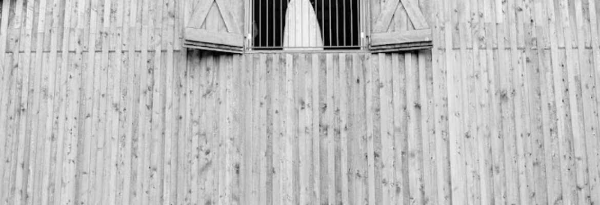 Loren DeMarco Photography