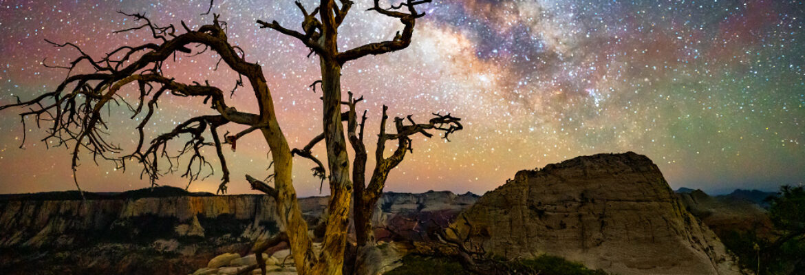 Joe Braun Photography