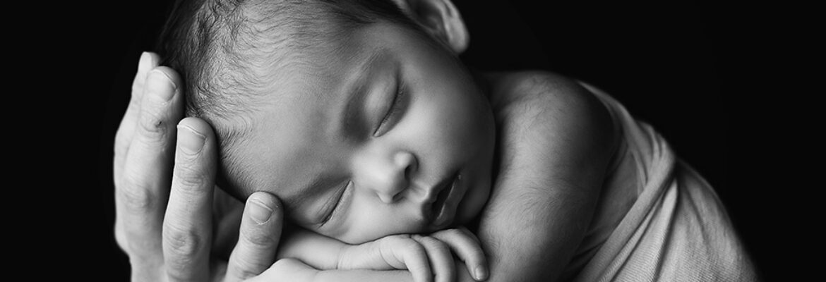 Tiny Apple Photography