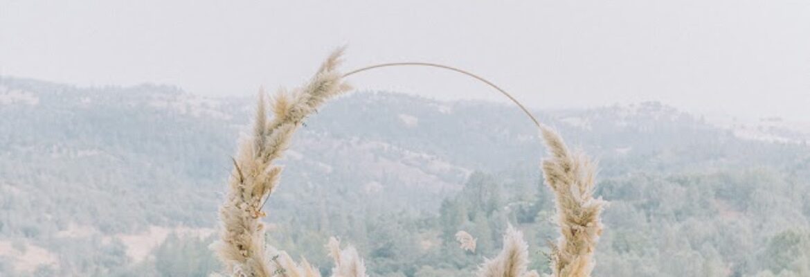 Liz Zimbelman Photography