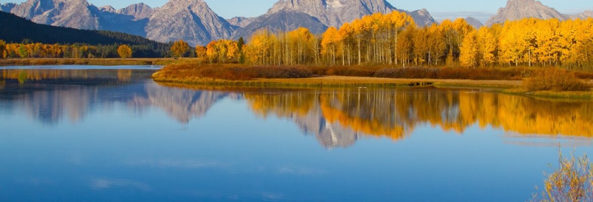 Jeannie O’Brien Photography