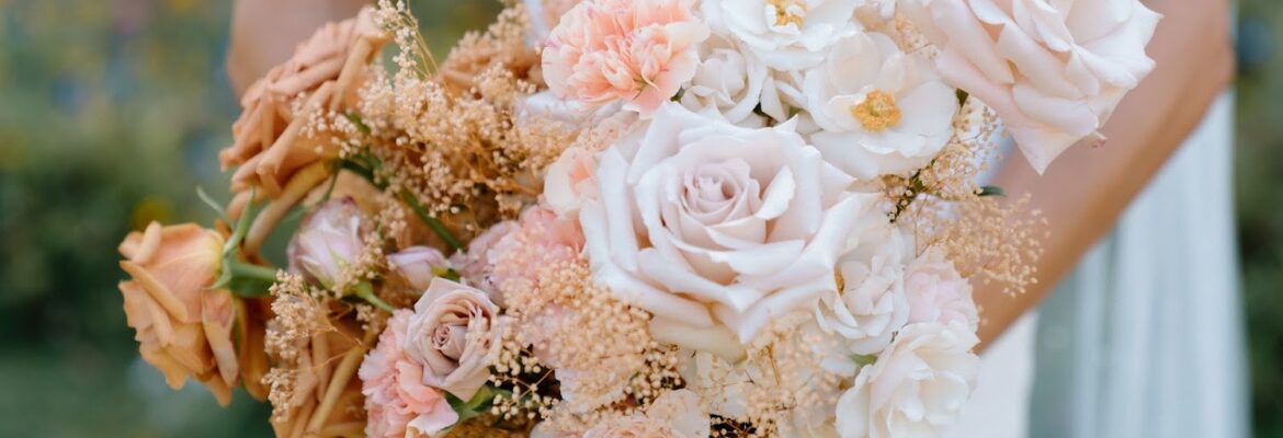 Erika Dirks Photography