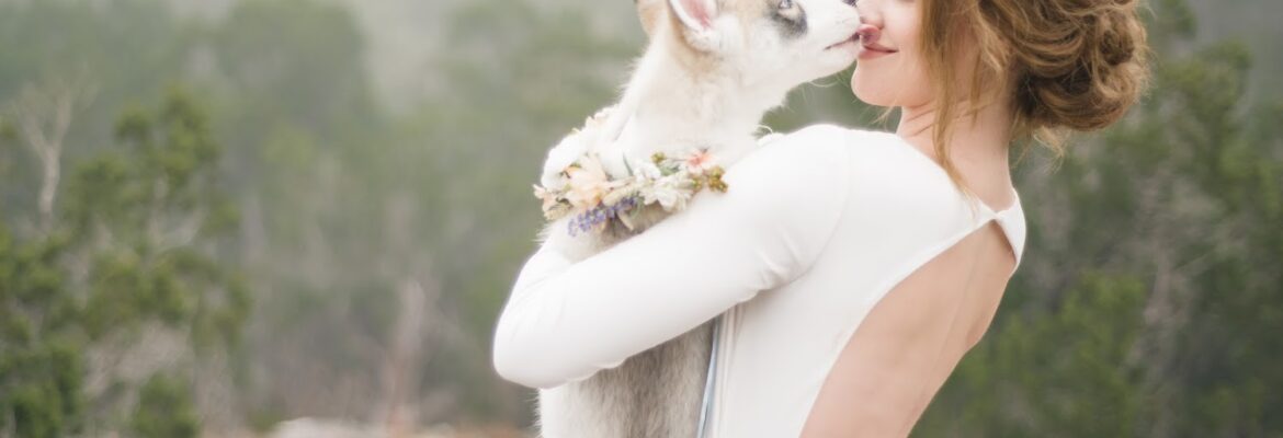 Sabel Moments Photography