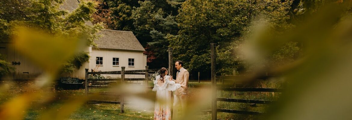 Wild Arrow Photography