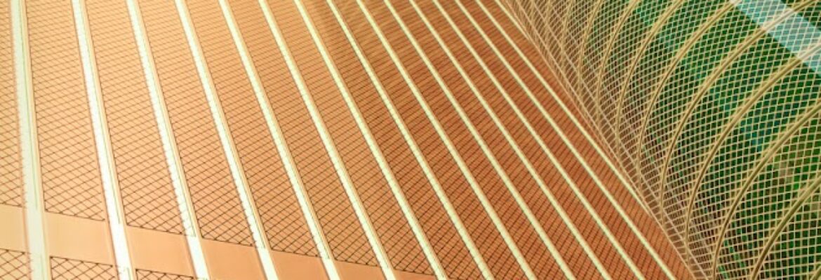 George Disario Photography