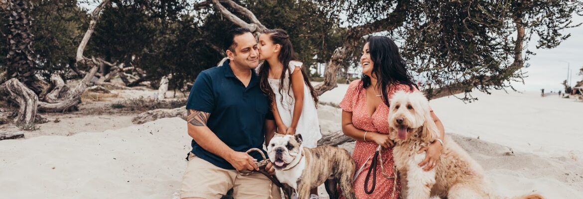 Christine Dammann Photography