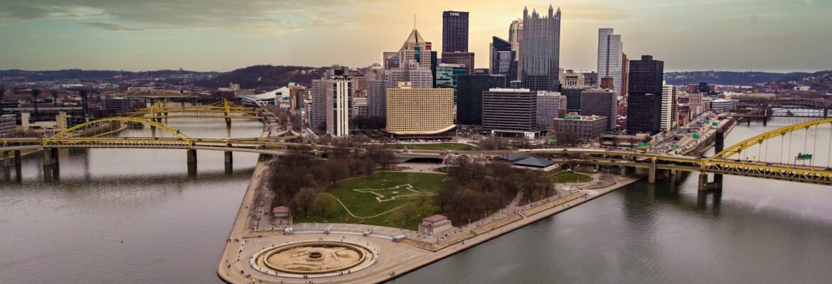 Drew’s Drone Services, LLC