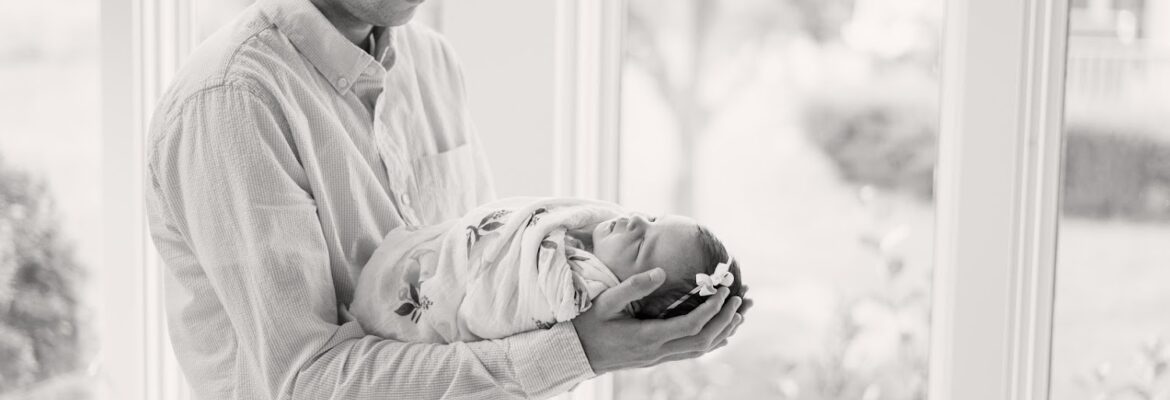 White Elm Photography