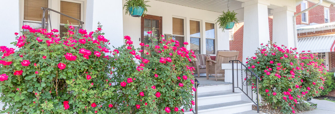 Jessica LG Photography